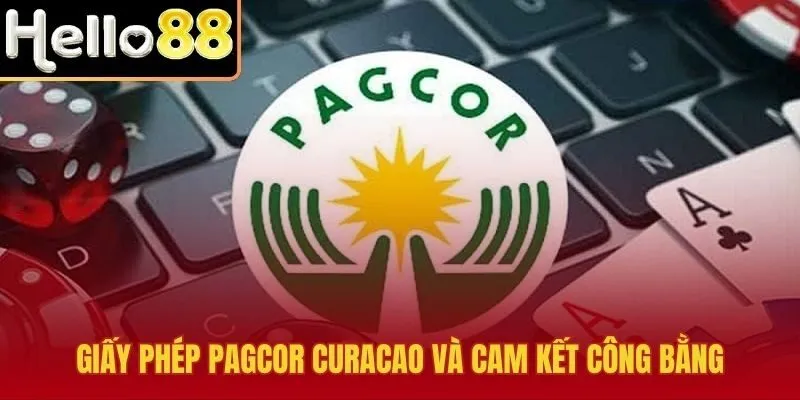 Giới thiệu Hello88 với giấy phép và chuẩn công bằng minh bạch